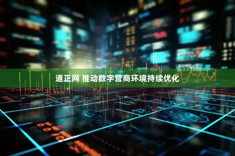 道正网 推动数字营商环境持续优化