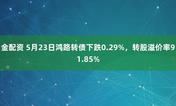 金配资 5月23日鸿路转债下跌0.29%，转股溢价率91.85%