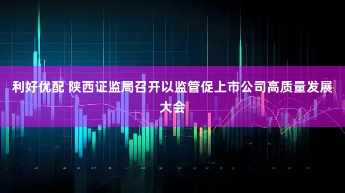 利好优配 陕西证监局召开以监管促上市公司高质量发展大会
