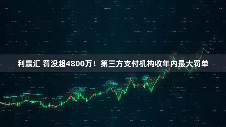 利赢汇 罚没超4800万！第三方支付机构收年内最大罚单